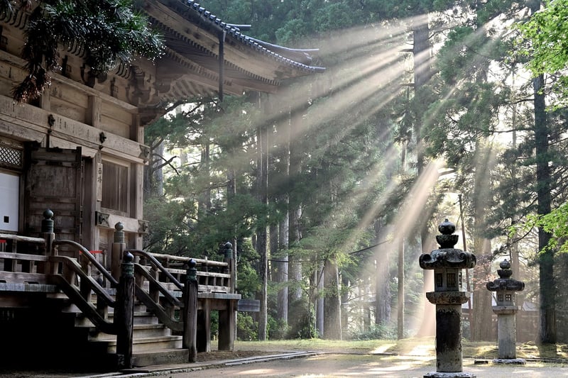 Full Sun